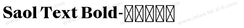 Saol Text Bold字体转换